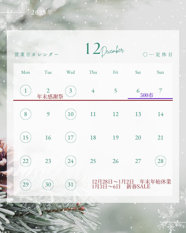 2025-12%e6%9c%88